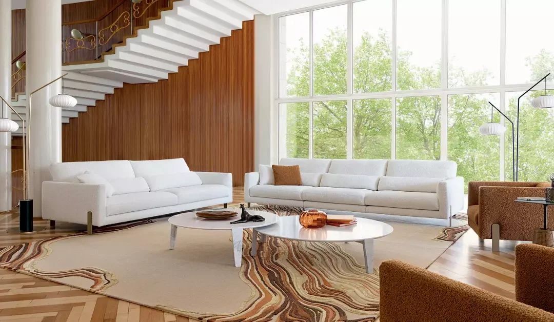 22 Salon Moderne Lumineux