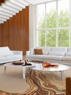 Salon Moderne Lumineux