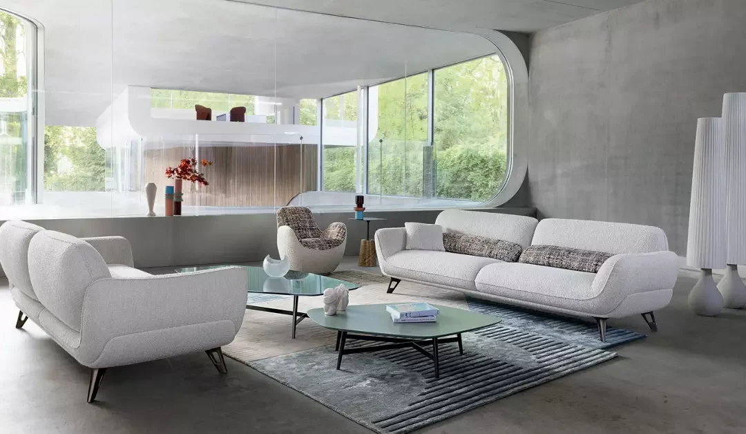 Salon Minimaliste Luxueux