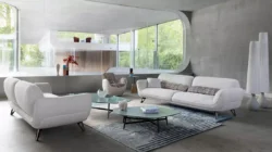 Salon Minimaliste Luxueux