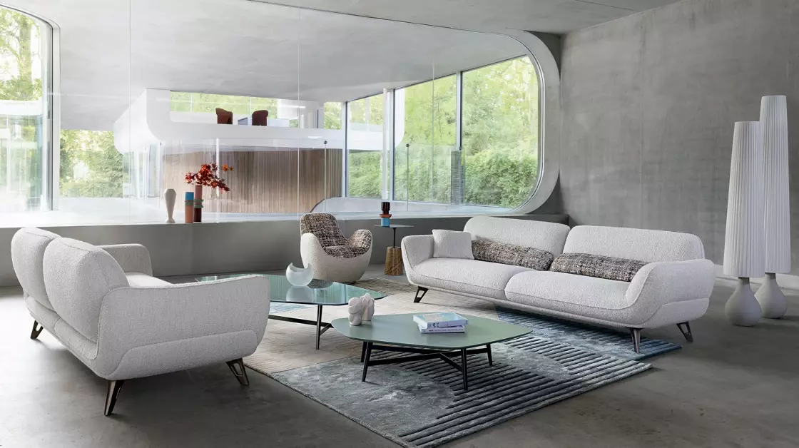 Salon Minimaliste Luxueux