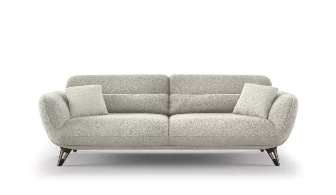 Salon Minimaliste Luxueux