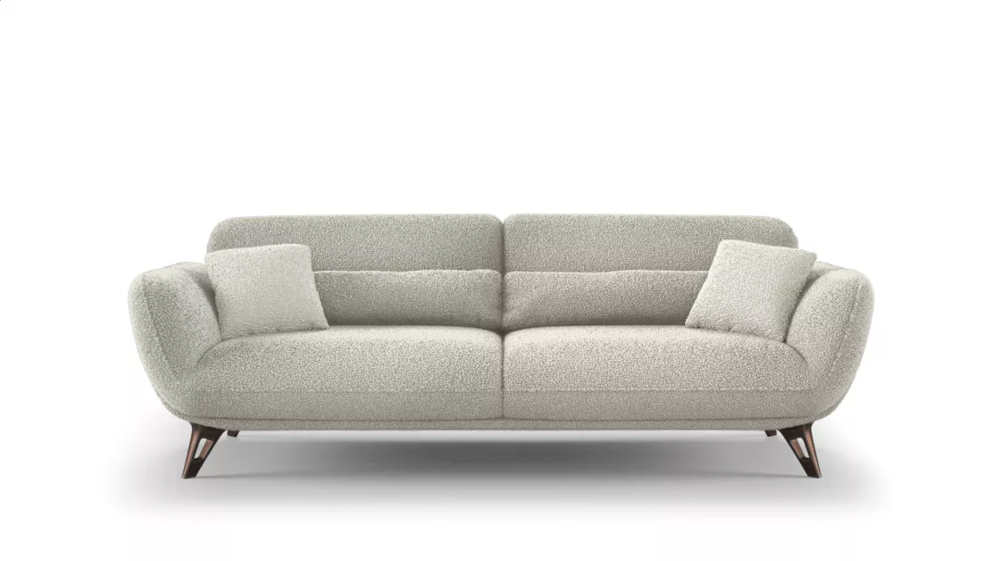 Salon Minimaliste Luxueux