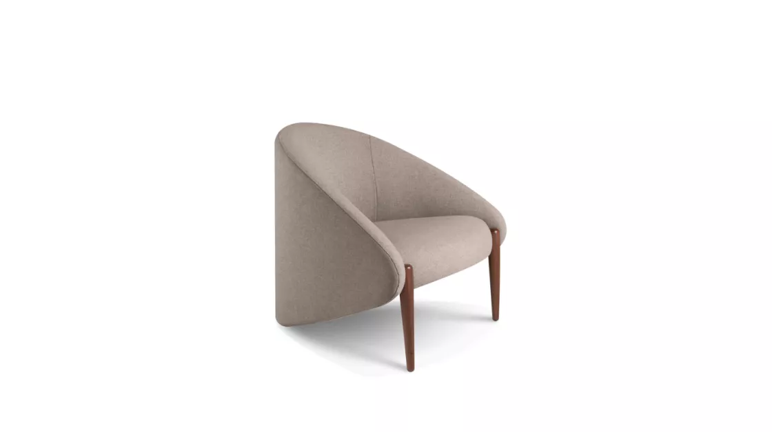 Fauteuil Design Raffiné