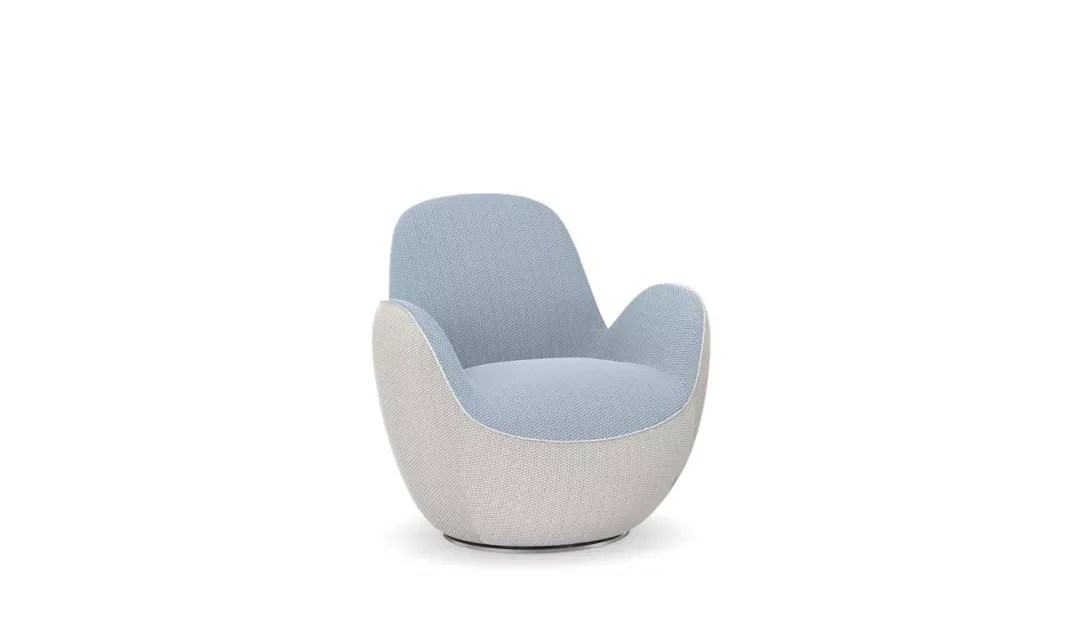 Fauteuil Élégance Moderne